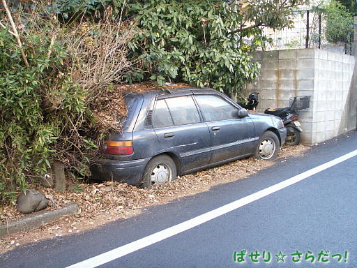 イメージ 3