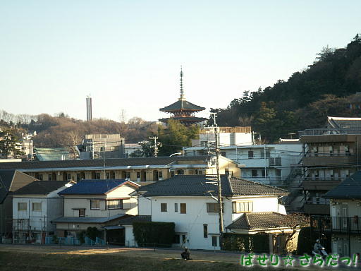 イメージ 6