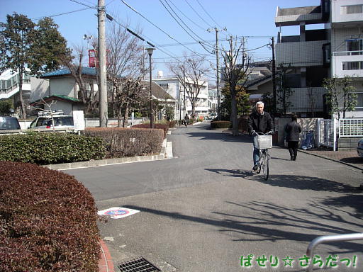 イメージ 5