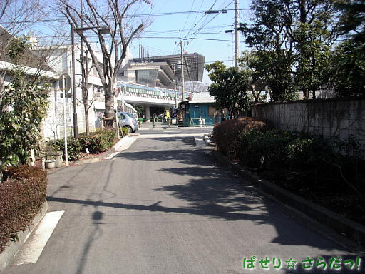 イメージ 6