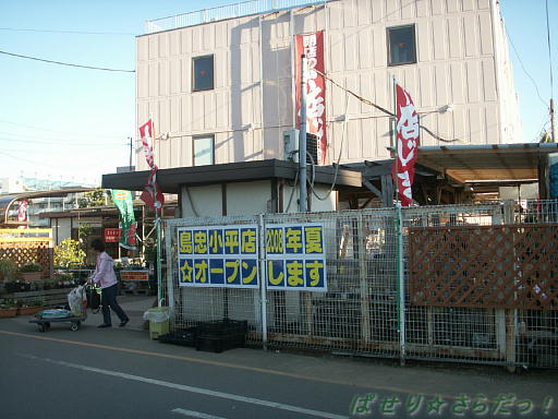 イメージ 6