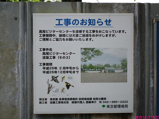 イメージ 6