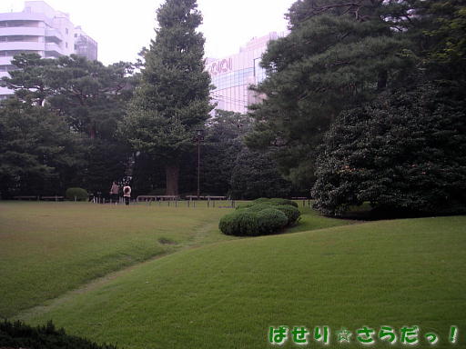 イメージ 6