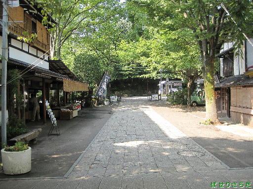 イメージ 6