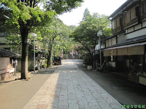 イメージ 7