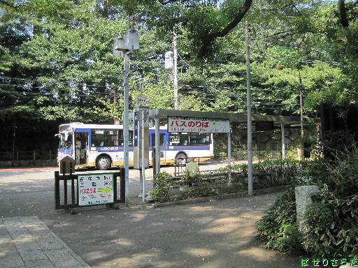 イメージ 8