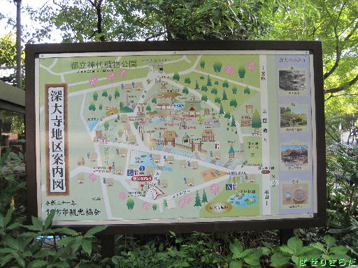 イメージ 10