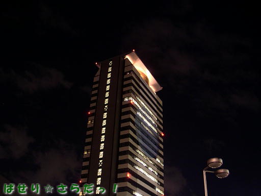 イメージ 4