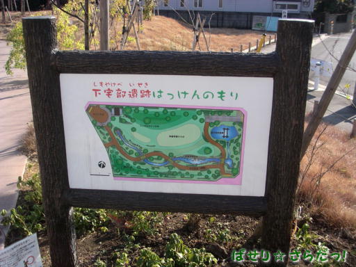 イメージ 3