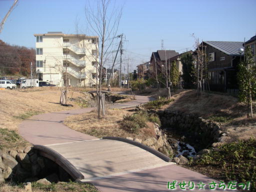 イメージ 4