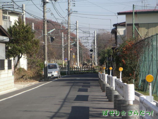 イメージ 5