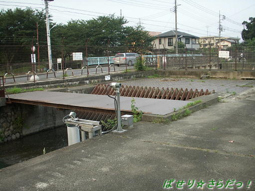 イメージ 5
