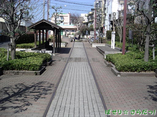 イメージ 6