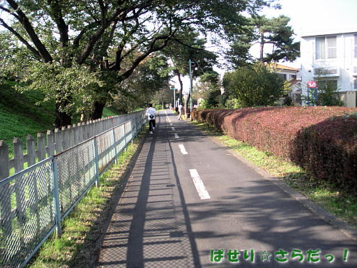 イメージ 2