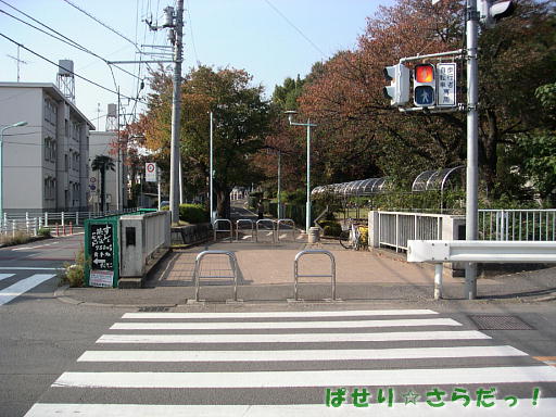 イメージ 3