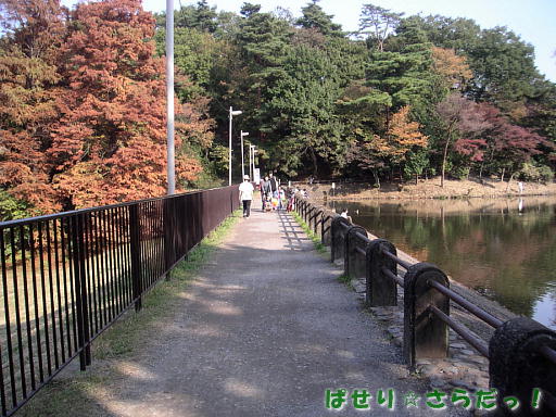 イメージ 5
