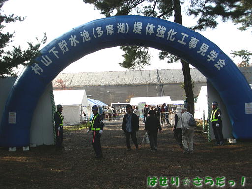 イメージ 6