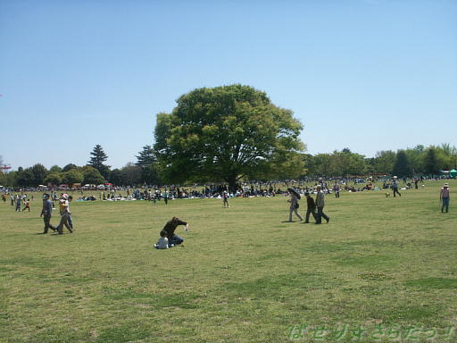 イメージ 3
