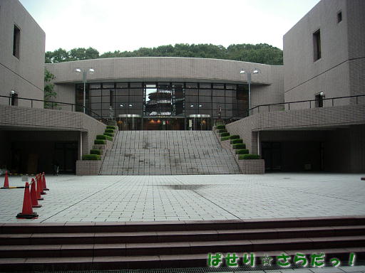 イメージ 5