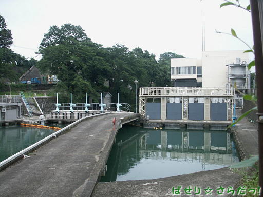 イメージ 4