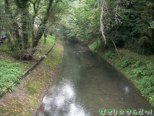 イメージ 6