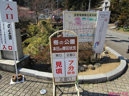 イメージ 6