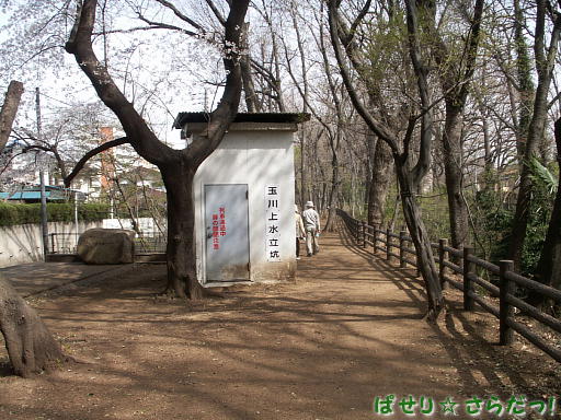 イメージ 3