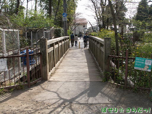 イメージ 5