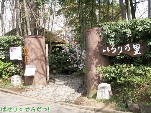 イメージ 6