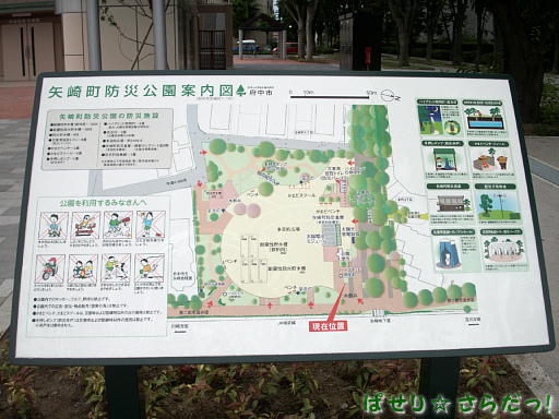 イメージ 3