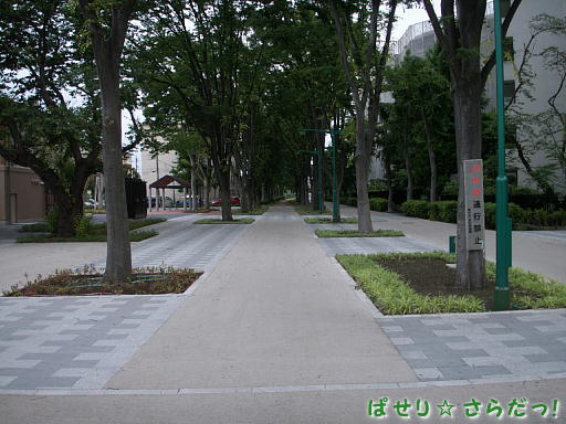 イメージ 5