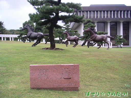 イメージ 6