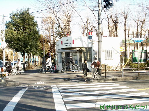 イメージ 2