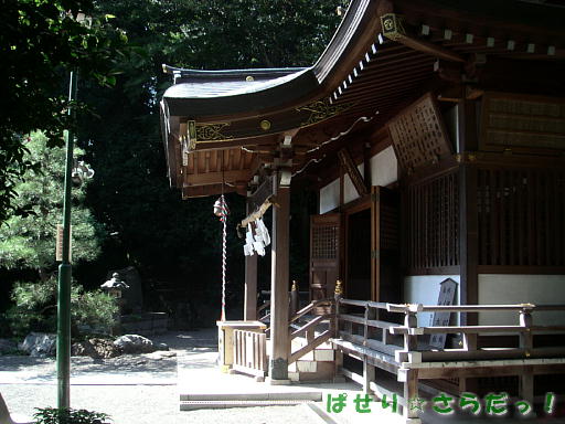 イメージ 3