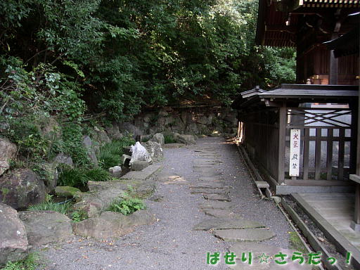 イメージ 4