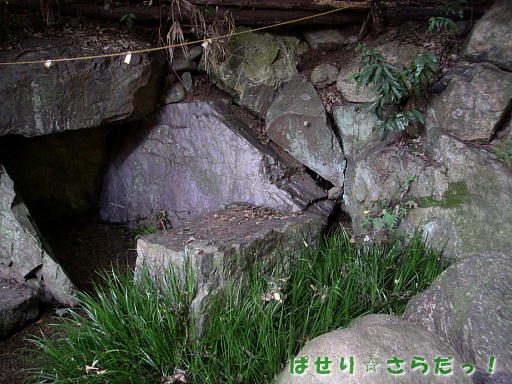 イメージ 5