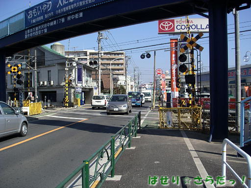 イメージ 6