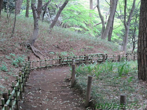 イメージ 5