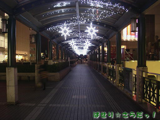 イメージ 4