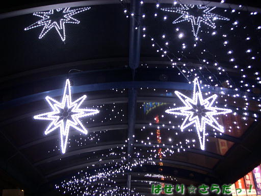 イメージ 5