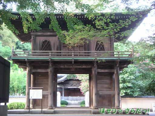 イメージ 3