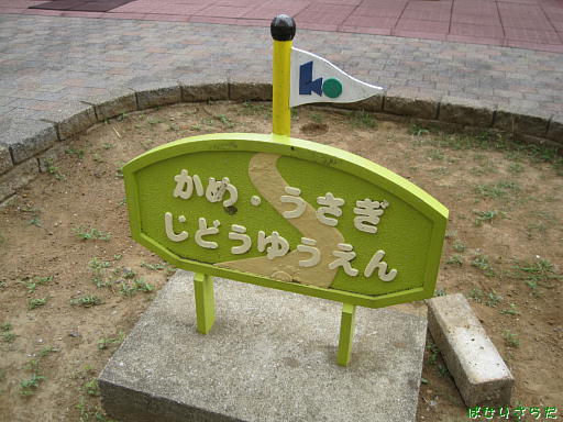 イメージ 5