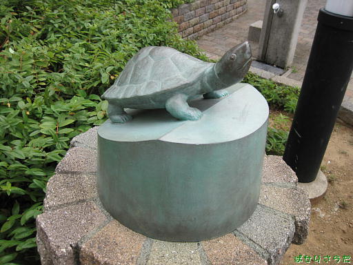 イメージ 6
