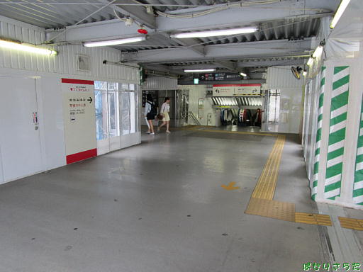 イメージ 6