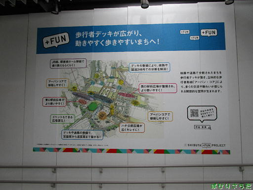 イメージ 7