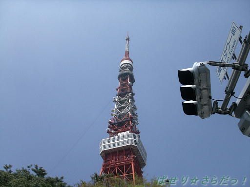 イメージ 6