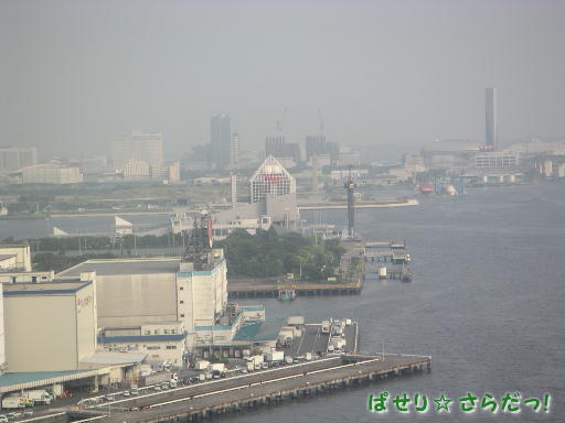 イメージ 3