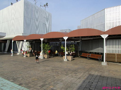 イメージ 4