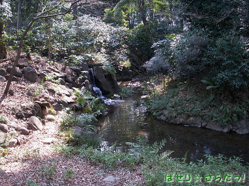 イメージ 2