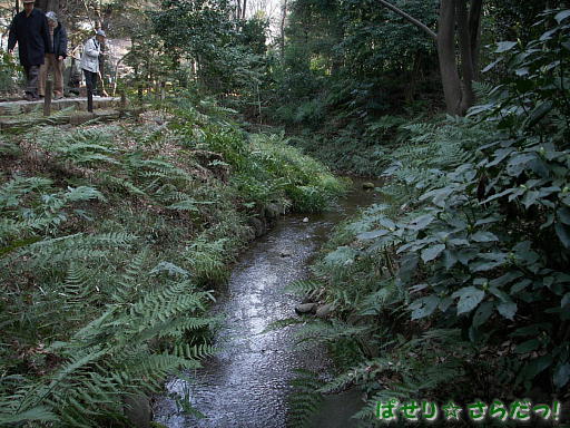 イメージ 4